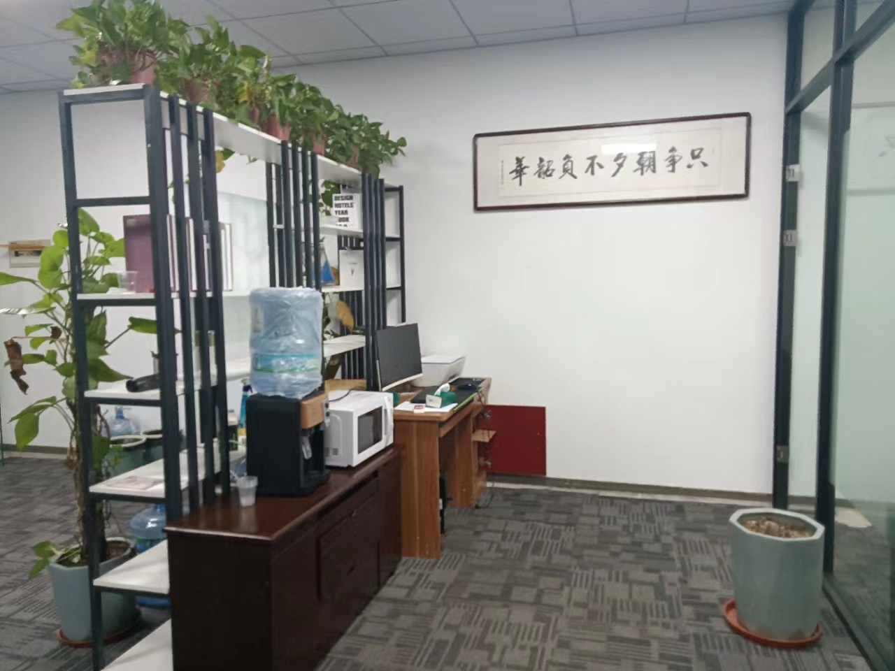 华星大楼