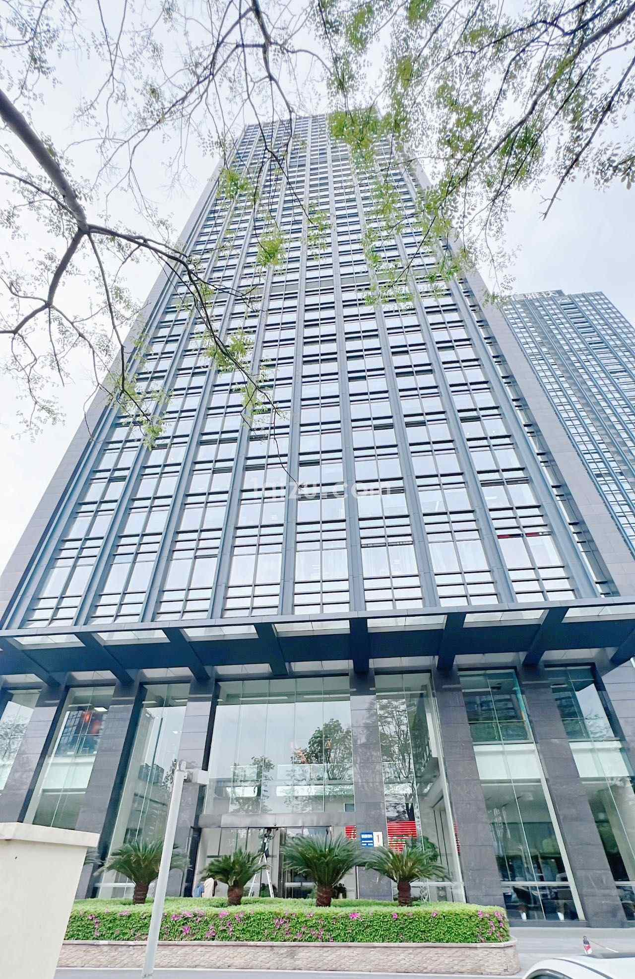 招商·信雅达国际